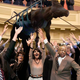 Illustration for article titled Live Cow Lowered Onto Floor Of U.S. House Of Representatives